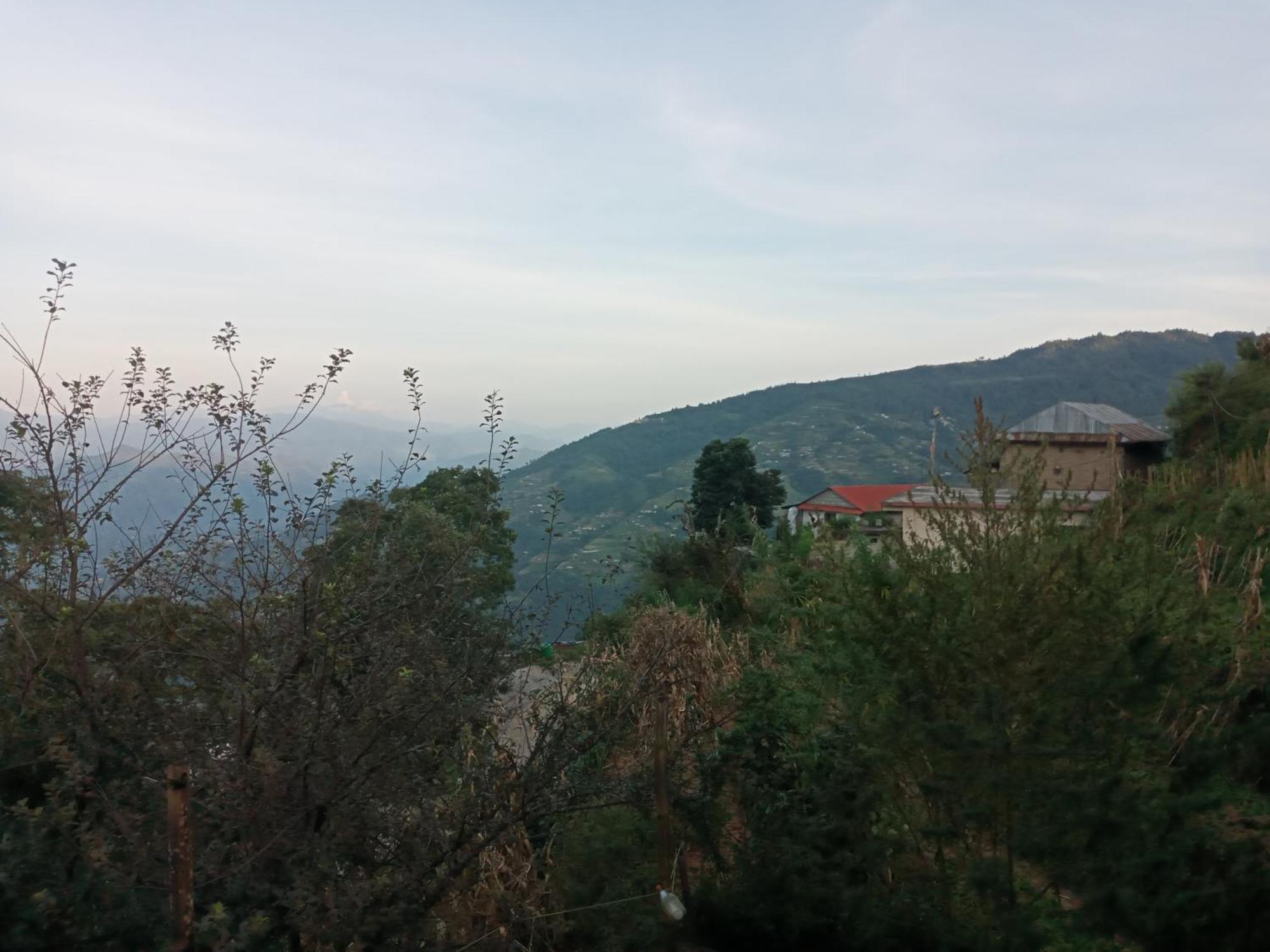 Unique Point Home Stay Нагаркот Екстер'єр фото